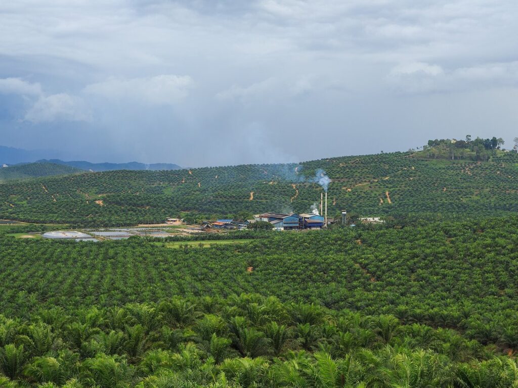 District-Kunak Sabah IOI-Baturong-Palm-Oil-Mill-02