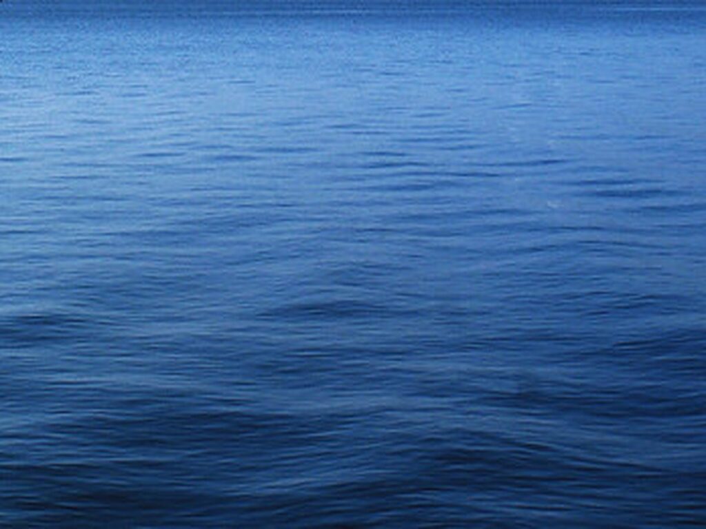 Water